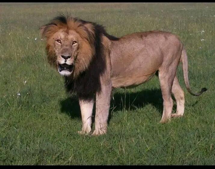 Serengeti National Park