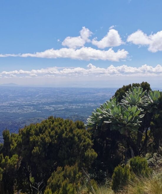 Aberdare ranges