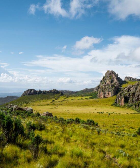 Aberdare ranges