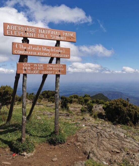 Aberdare ranges