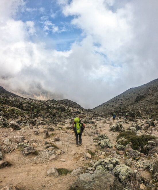 Mt Kilimanjaro