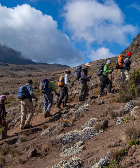 Mt Kilimanjaro