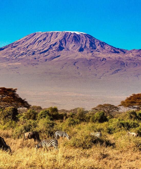 Mt Kilimanjaro