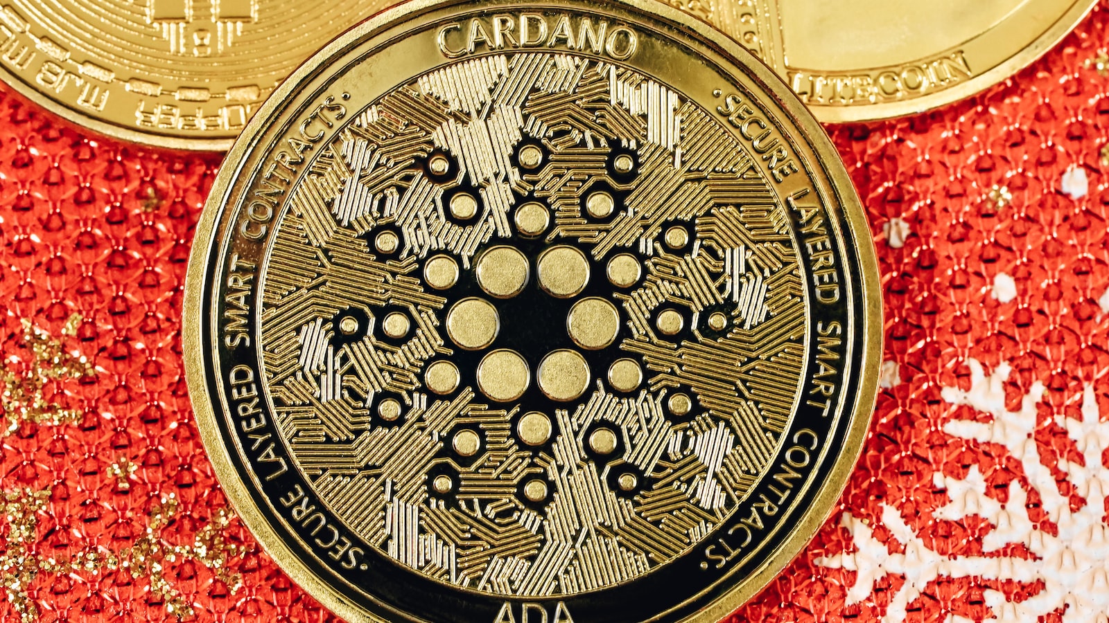 Can I Participate in a Cultural Exchange Program with Local Schools near Mt Kenya?