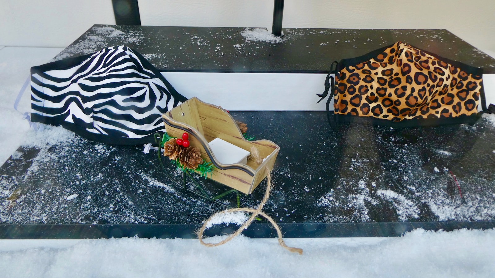 Can I Spot Snow Leopards or Other Rare Animals on Mt Kenya?