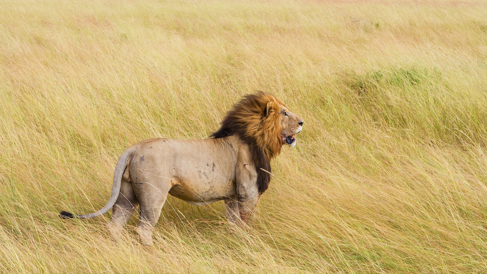 What Equipment Do You Need to Climb Mt Kenya?