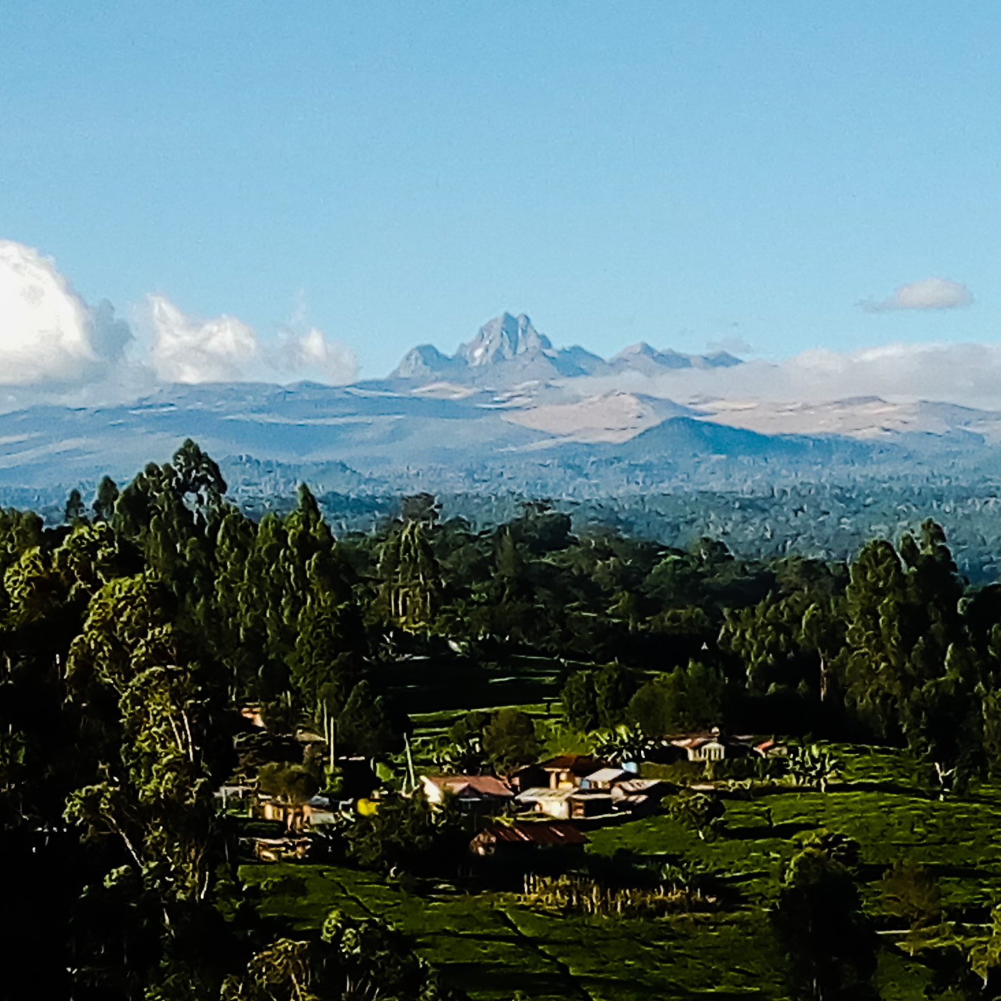 How Do I Prepare for the Altitude Change on Mt Kenya?