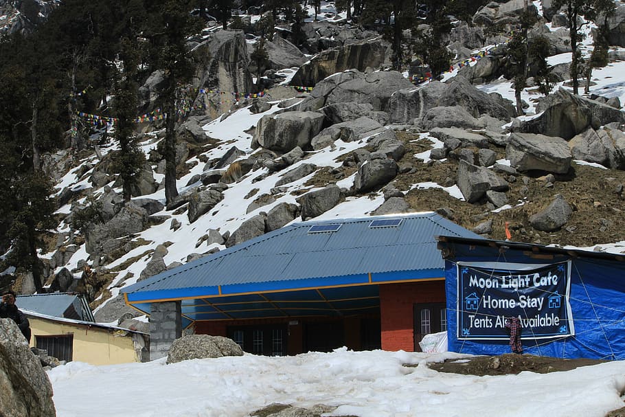 Can I Engage in a Homestay Experience with Local Families near Mt Kenya?