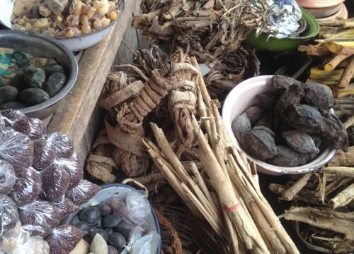 What’s the Role of Traditional Medicine Around Mt Kenya?