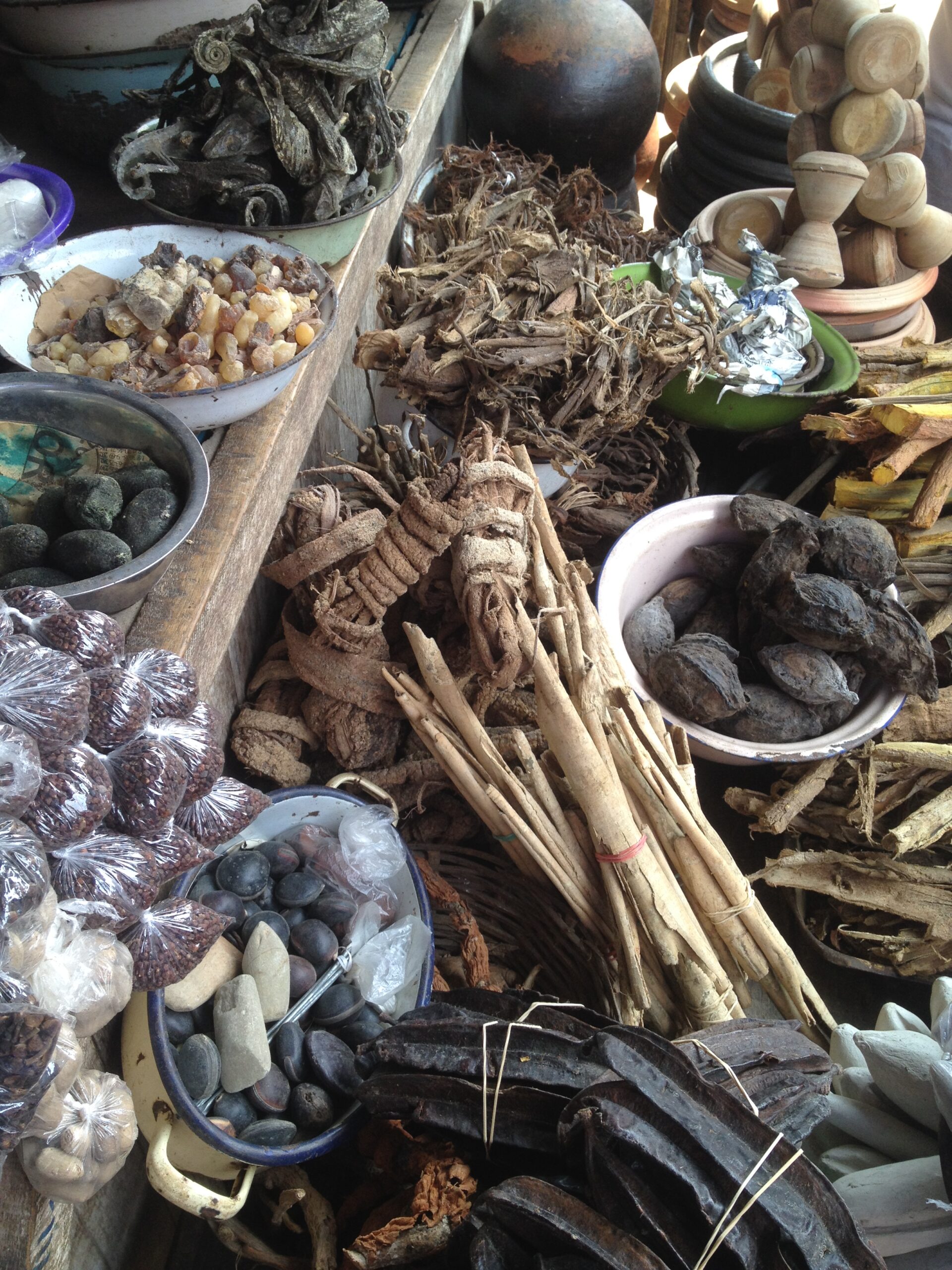 What’s the Role of Traditional Medicine Around Mt Kenya?