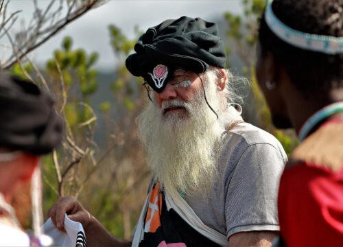 Can I Learn About the Traditional Healing Practices and Herbal Remedies Used by Local Communities on Mt Kenya?