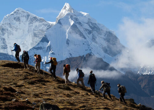 How Do I Obtain the Necessary Permits for Trekking Mt Kenya?