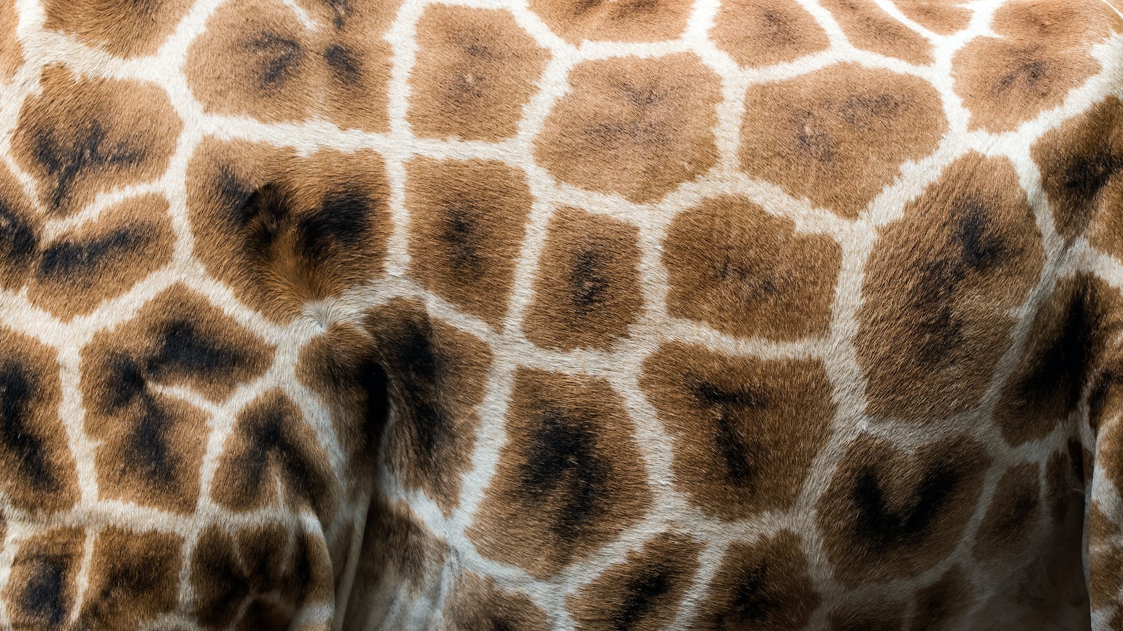 What’s the Role of Storytelling in Passing Down Traditions on Mt Kenya?