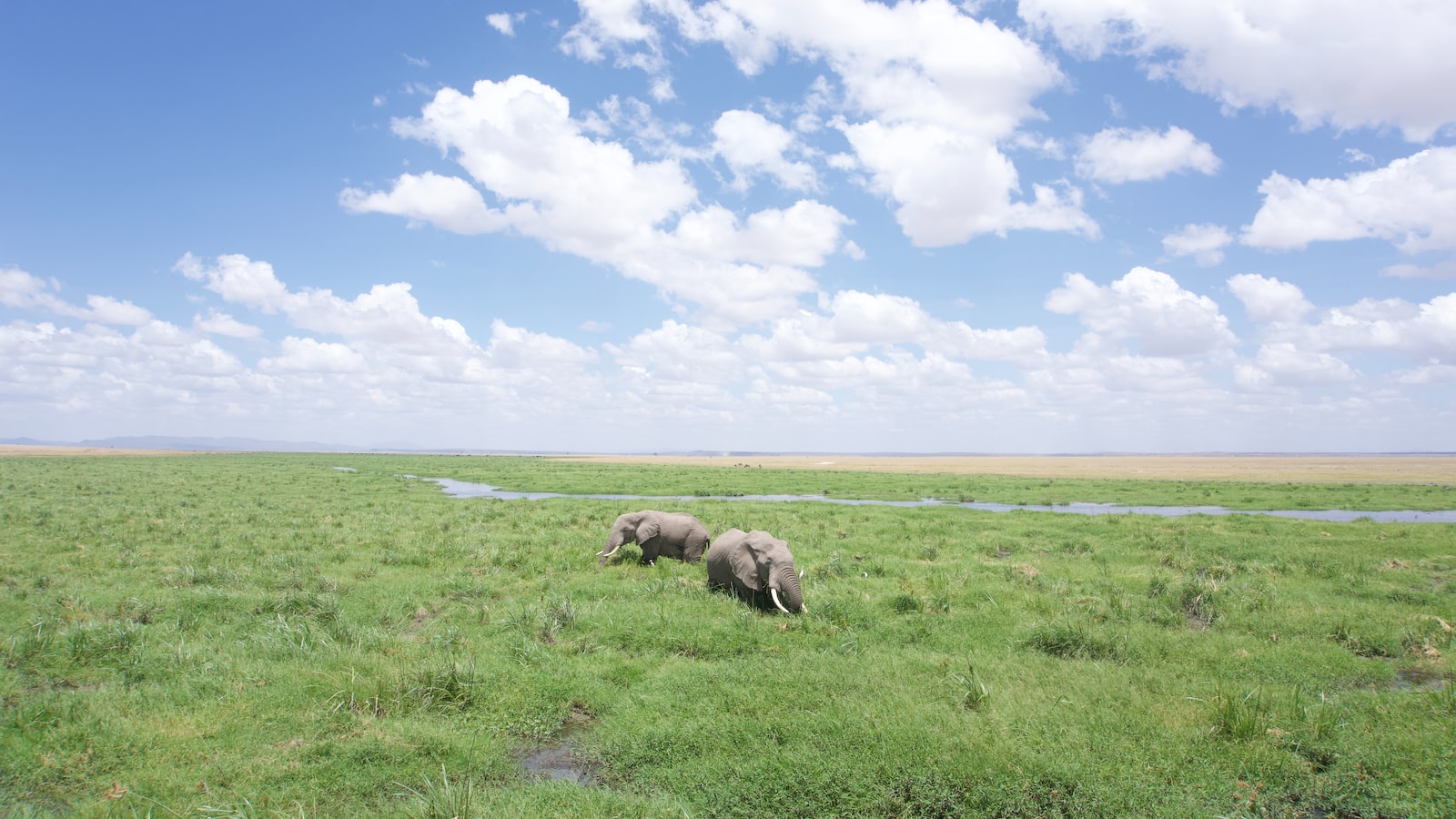 Are There Any Famous Landmarks to Explore on Mt Kenya’s Slopes? Mt Kenya?