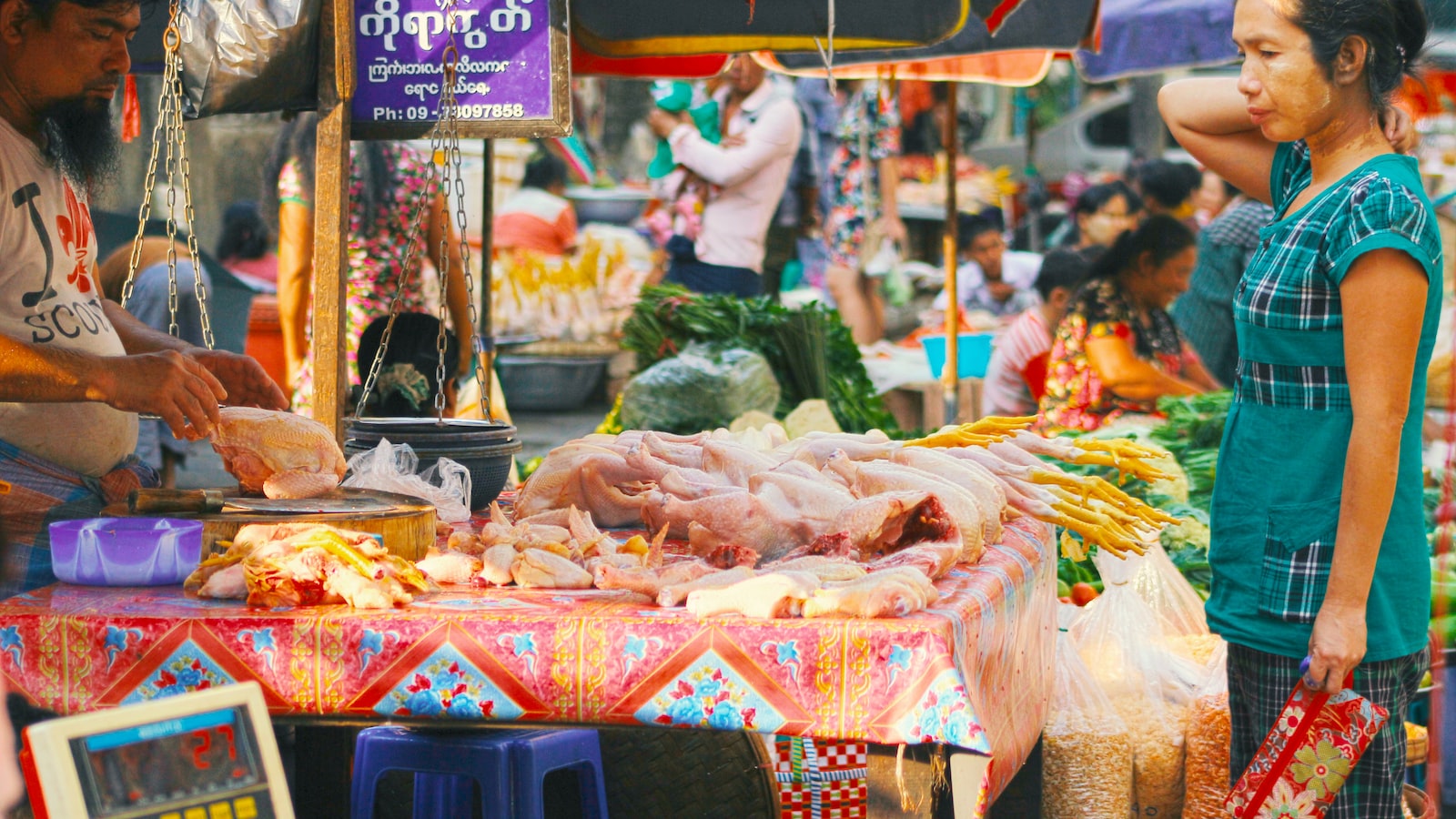 What’s the Role of Local Guides in Enhancing the Trekking Experience on Mt Kenya?