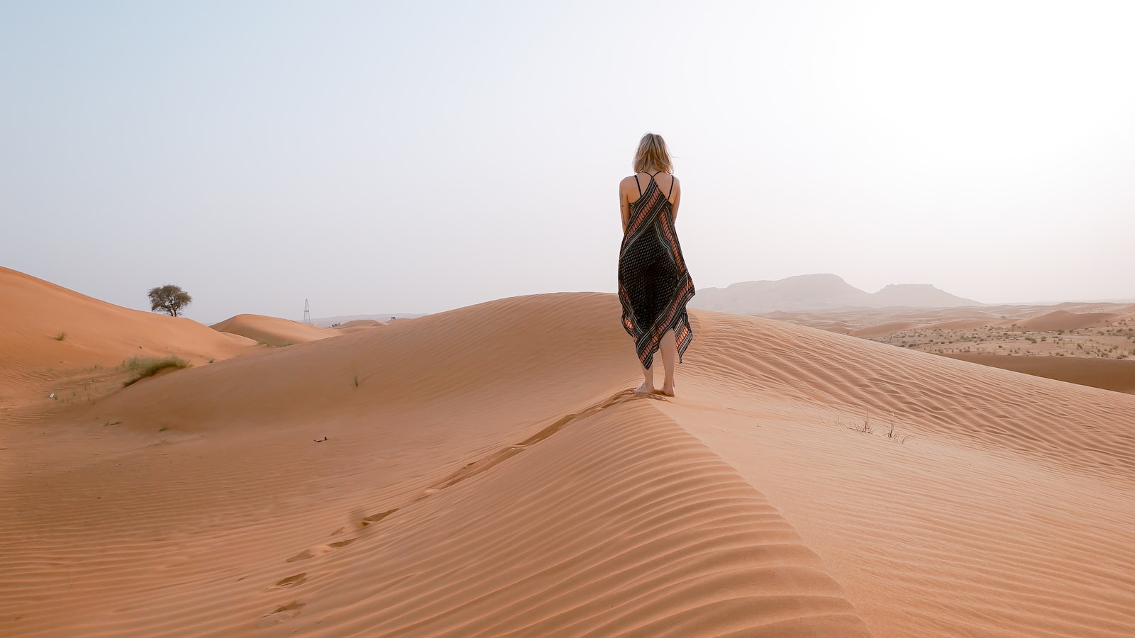 Can I Undertake a Solo Trekking Adventure on Mt Kenya?