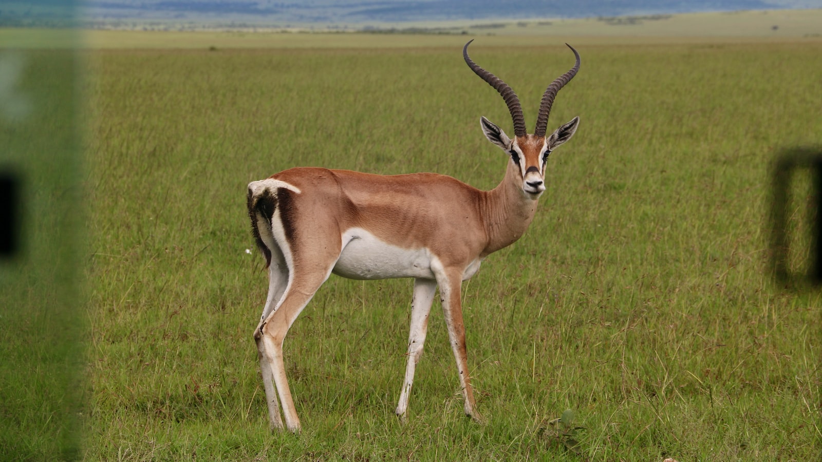 What’s the Geology behind the Formation of Mt Kenya?