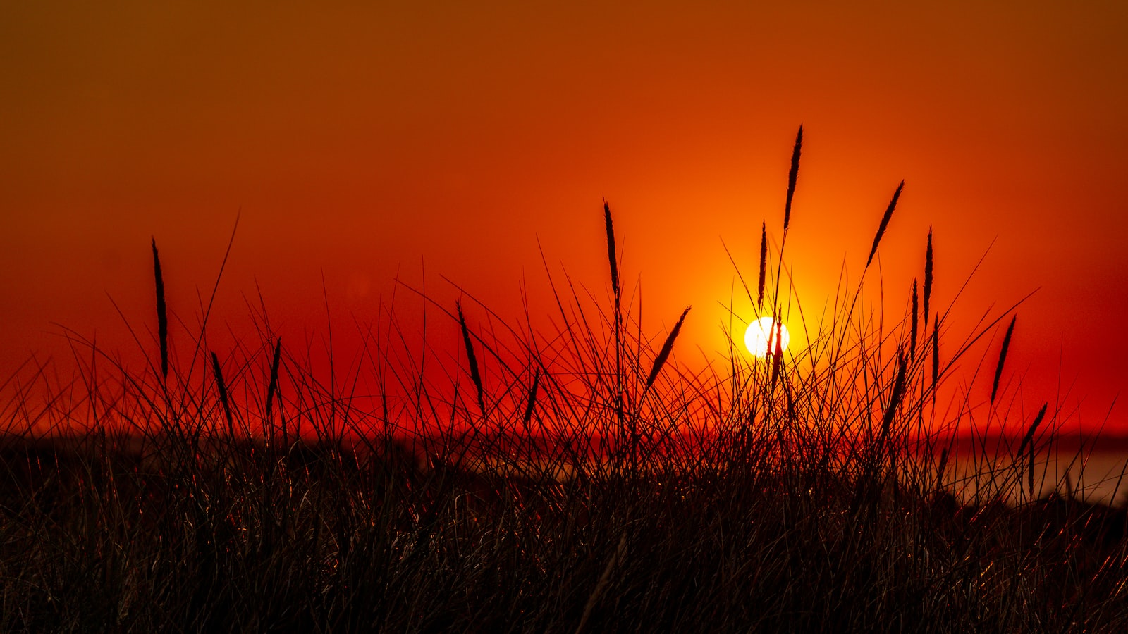 Can I Visit Any Historical Sites Related to Early Expeditions on Mt Kenya?