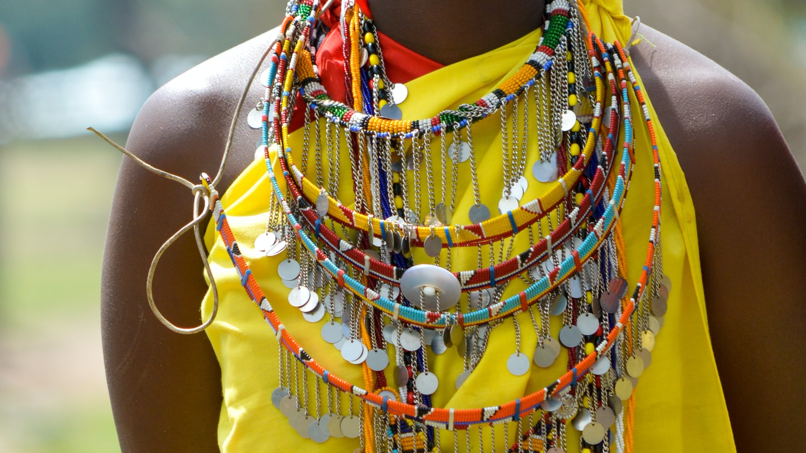 Can I Spot Diverse Bird Species While Trekking Mt Kenya?