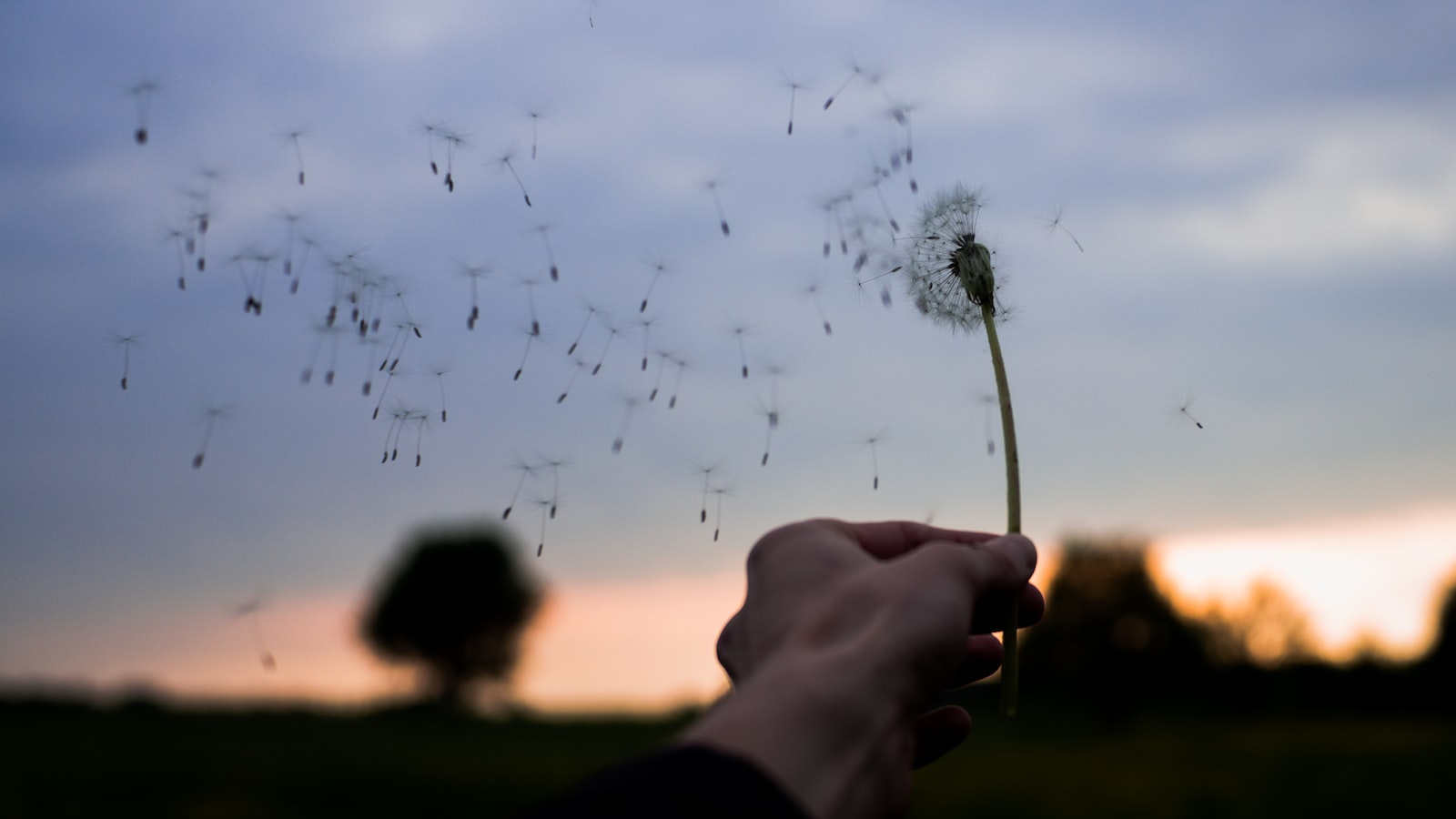 Can I Witness the Unique Phenomenon of the “Berg Wind” on Mt Kenya?