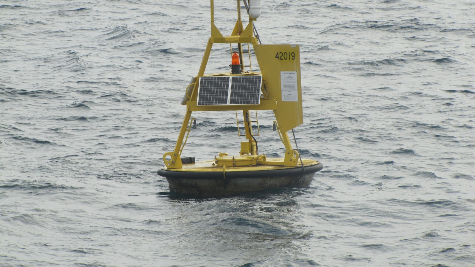 How Can I Respect the Local Environment While Visiting Mt Kenya?