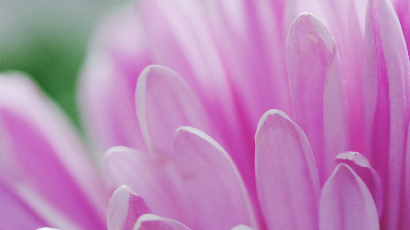 What Are the Native Tribes Living Around Mt Kenya?