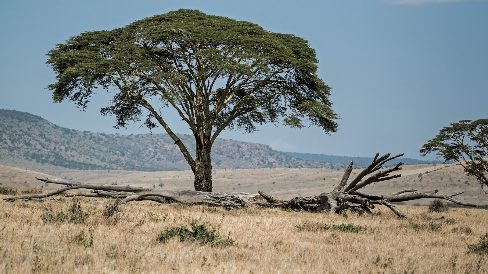 What Types of Rock Formations Can I Expect to See on Mt Kenya?