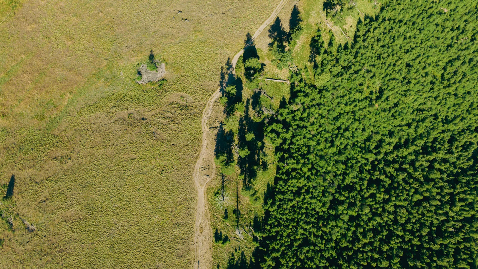 Are There Any Organized Group Tours for Exploring Mt Kenya?