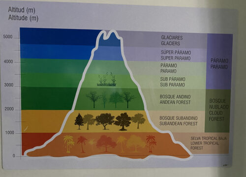 How Do I Recognize Signs of Altitude Sickness and Take Appropriate Precautions on Mt Kenya?