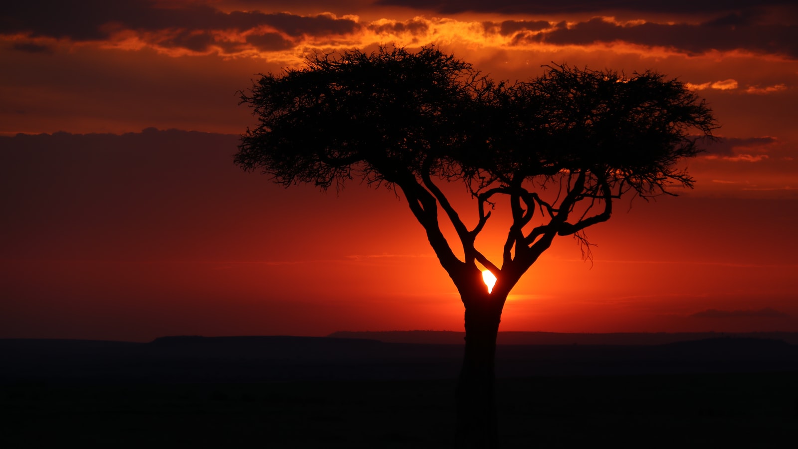 What Is the Relationship Between Mt Kenya and Neighboring National Parks? Mt Kenya?