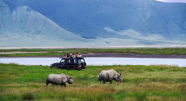 Ngorongoro Crater Safari