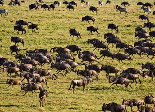 Serengeti National Park