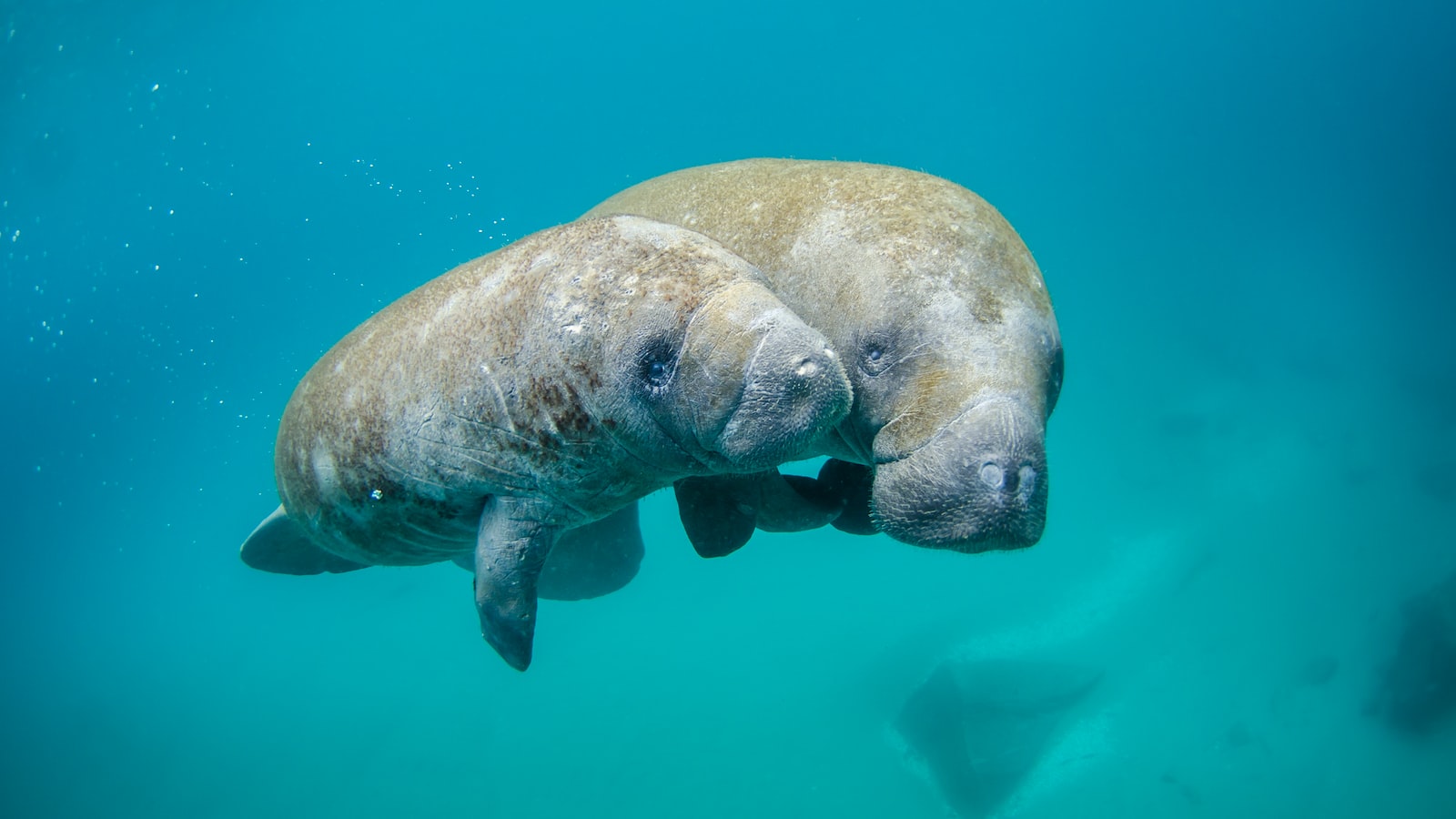 How Can I Minimize My Impact on the Environment While Exploring Mt. Kenya?