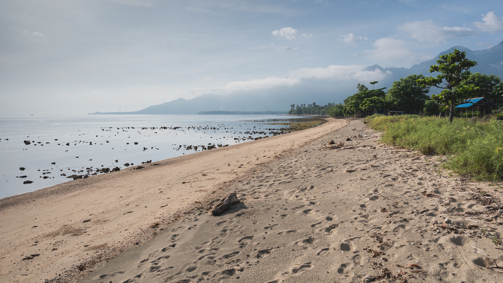 What’s the Role of Local Guides in Enhancing the Trekking Experience on Mt. Kenya?