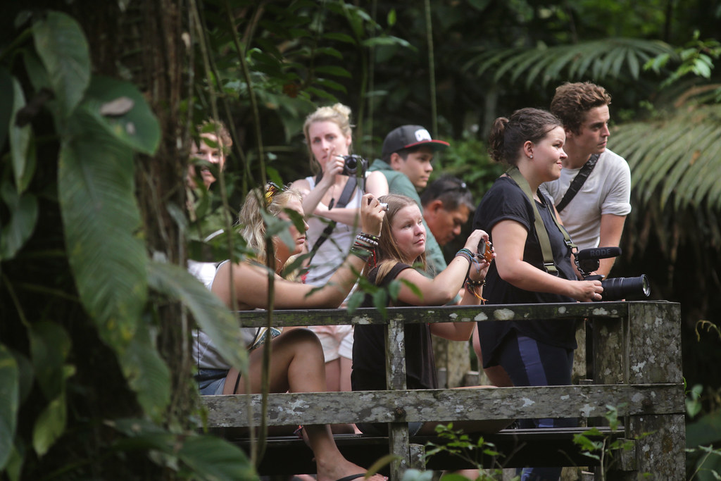 What’s the Impact of Ecotourism Initiatives on the Conservation of Mount Kenya’s Biodiversity? Mount Kenya?