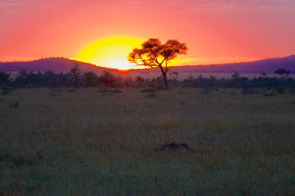 4. Preparing for the Unexpected: Essential Medical Supplies and ⁤Procedures for ‍a Safe ⁣Mt Kenya Game Drive Experience