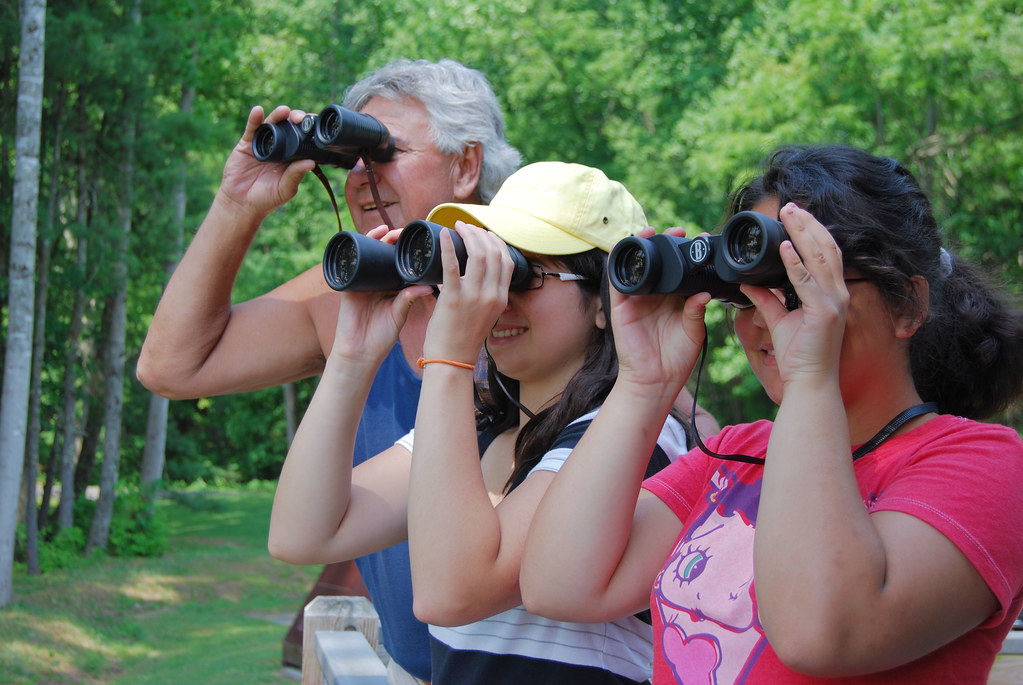 Expert Tips: How to Make the Most of Birdwatching on Mount Kenya