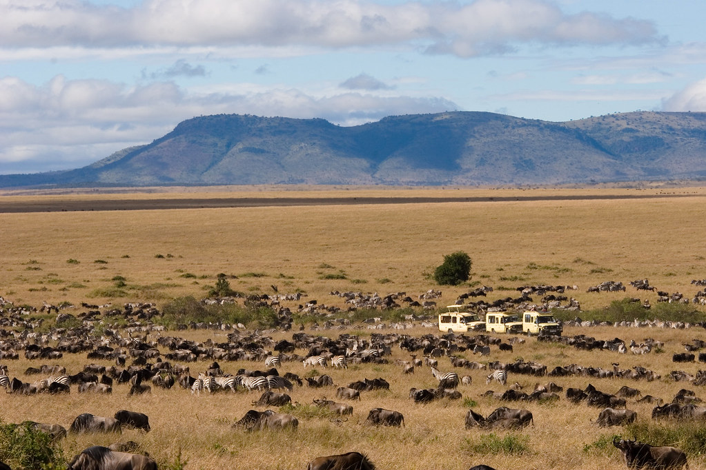 Unveiling ‌the Current ‍State:‌ Availability of Baby-Changing Facilities in Mount ⁢Kenya Game Reserves