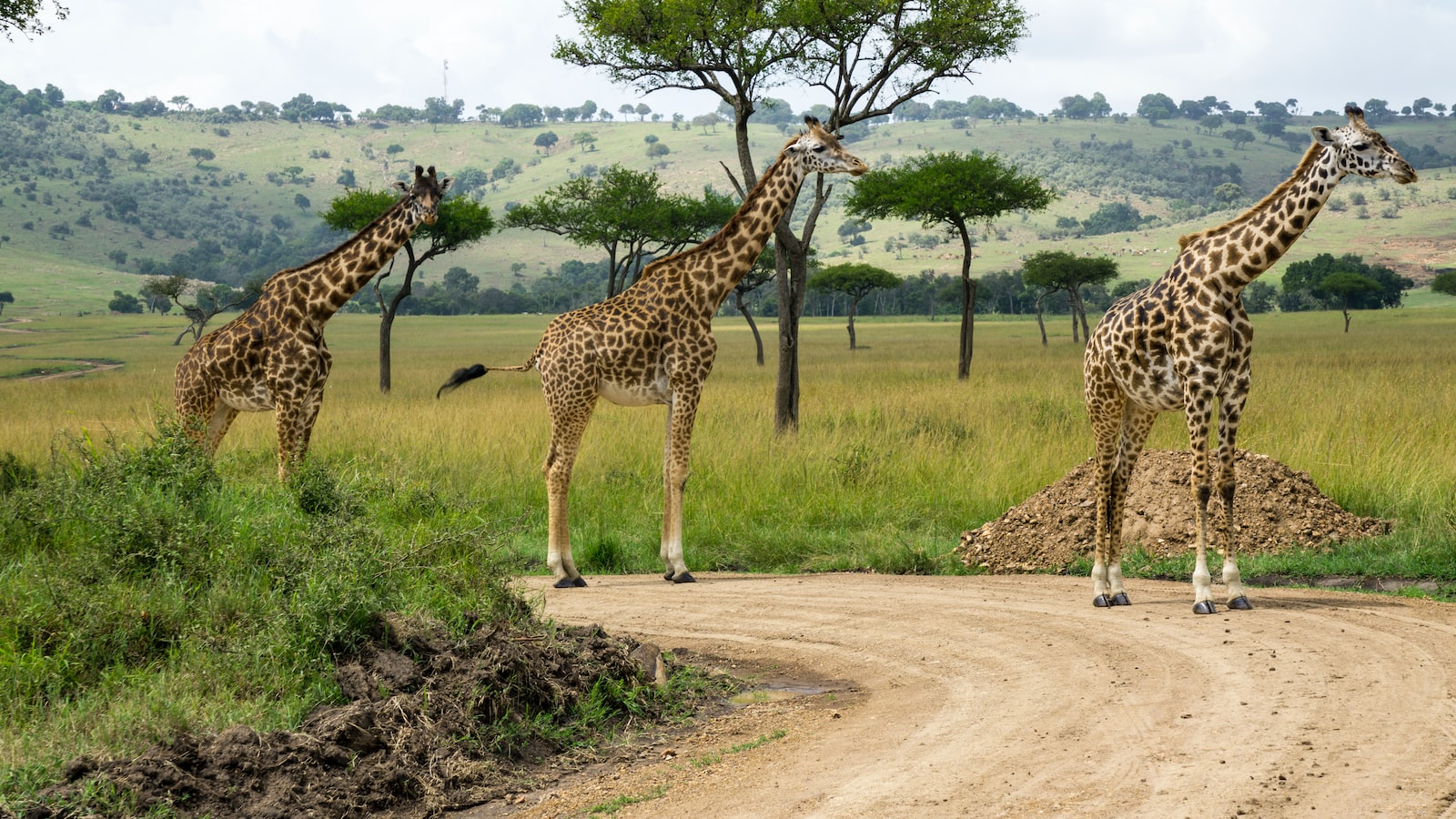 What is the average duration of a trek in Mount Kenya?