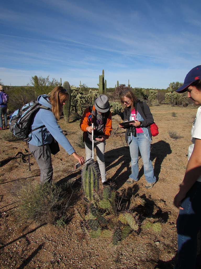 Are there any trekking schools in Mount Kenya?