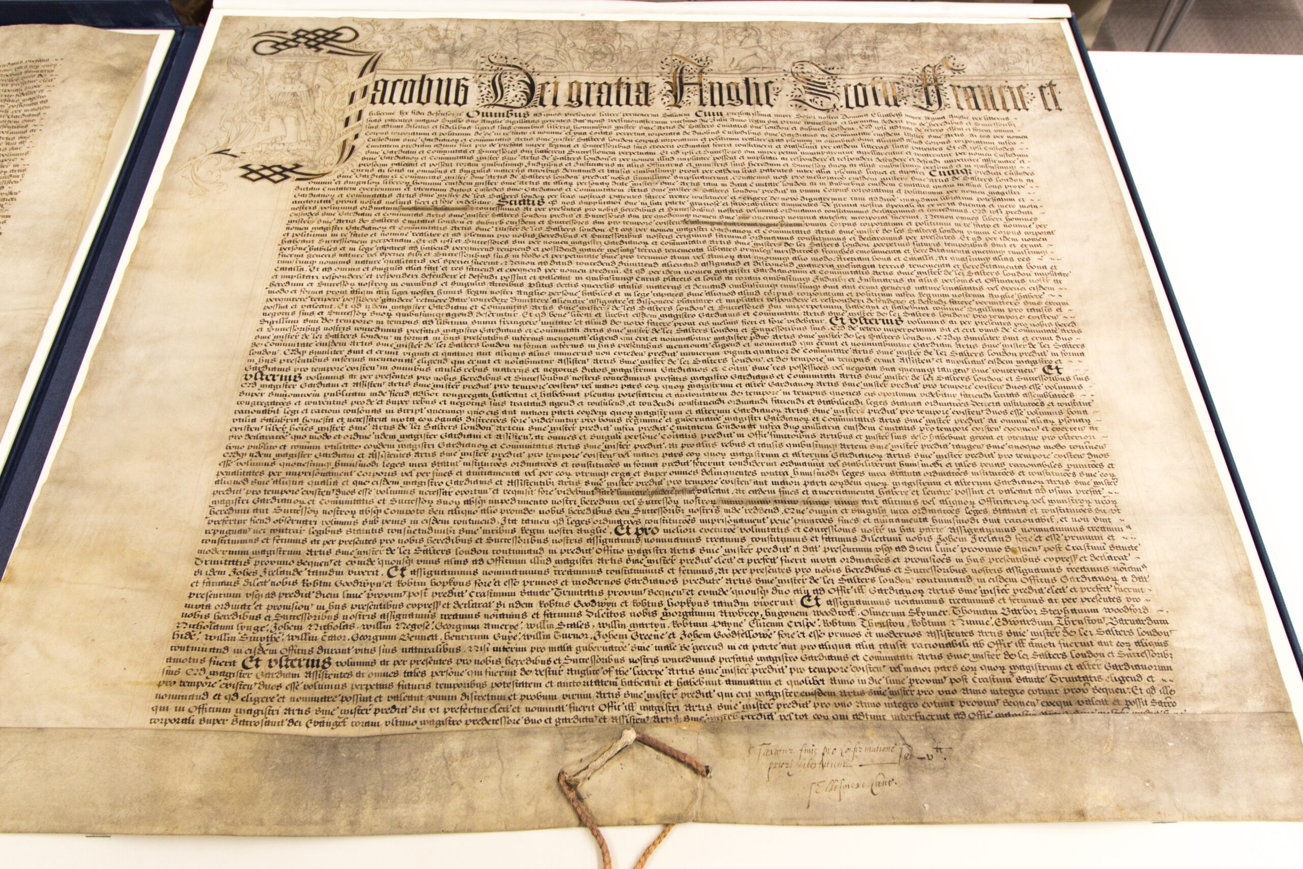 Can I charter a scenic flight for a private celebration in Mount Kenya?