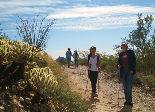 Is it possible to do guided treks in Mount Kenya?