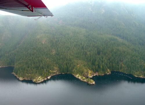 What type of aircraft is used for scenic flights in Mount Kenya?