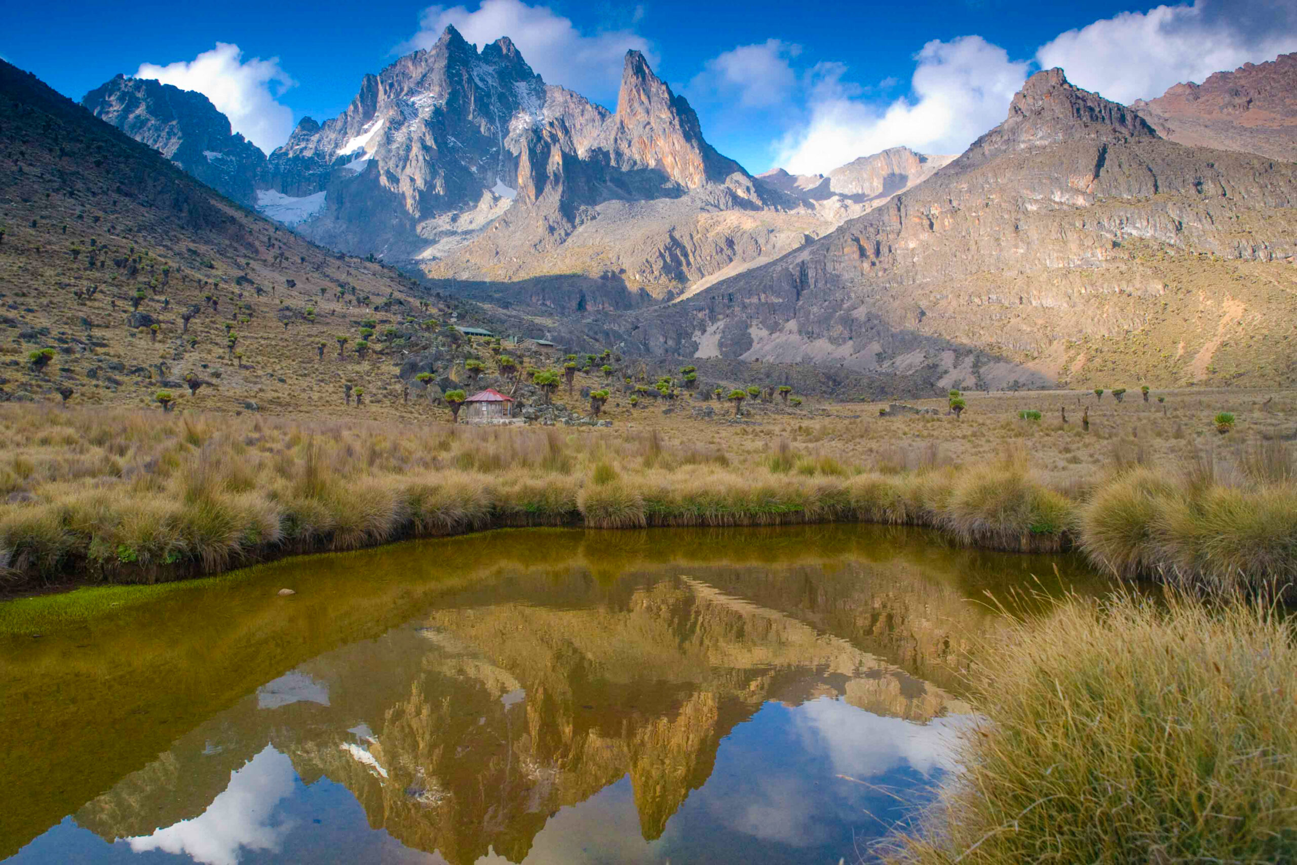 Are there any bird-watching lodges in Mount Kenya?