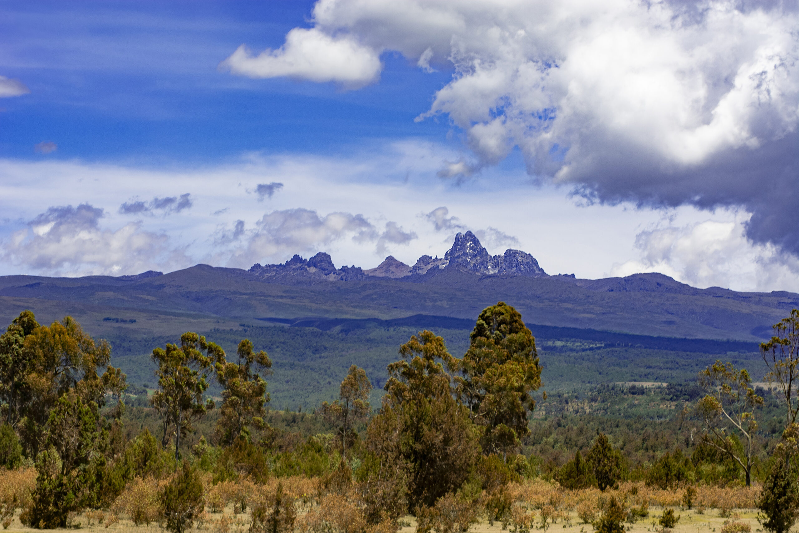 Can I attend traditional weddings or ceremonies in Mount Kenya?