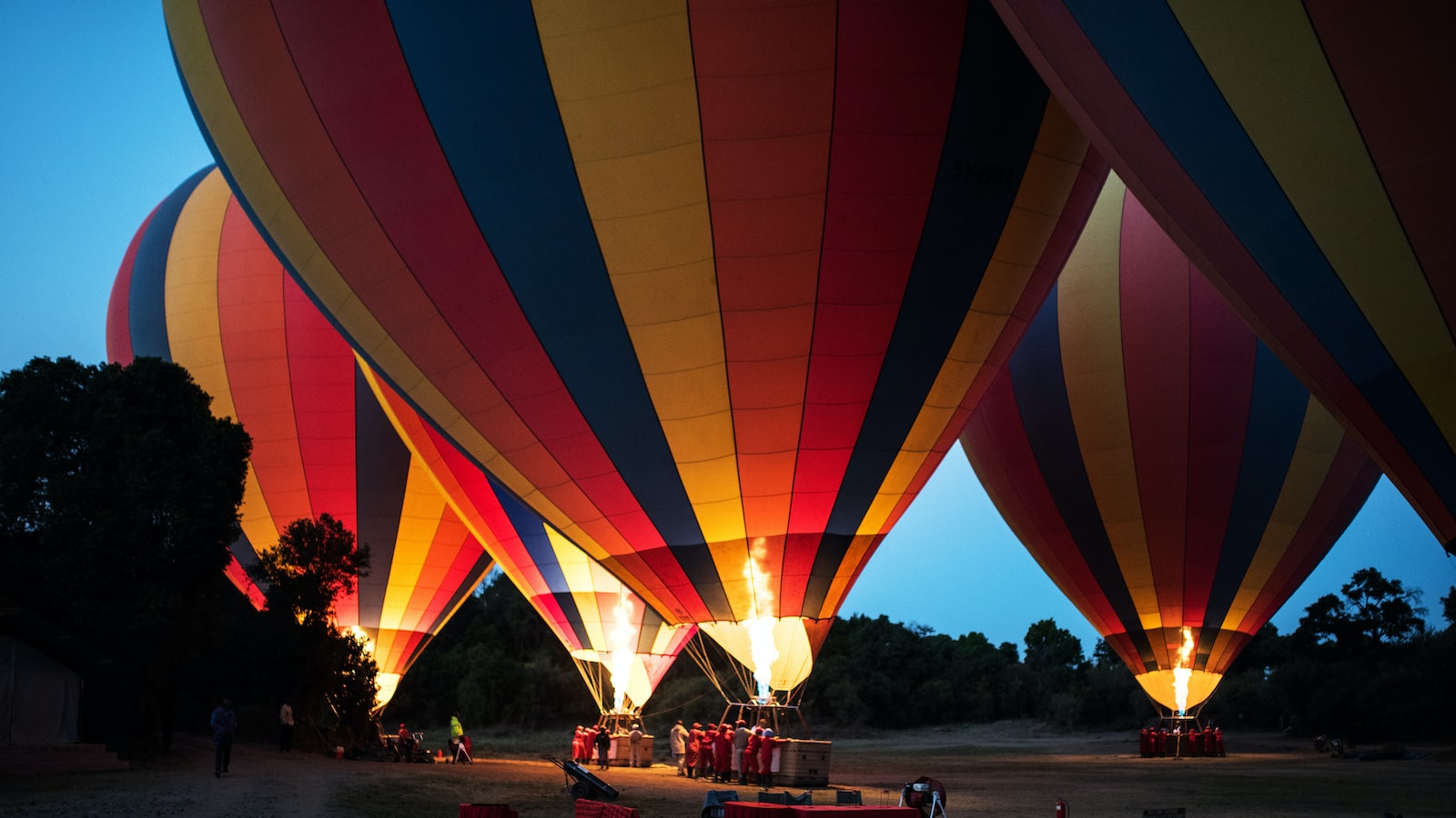 Can I spot waterfowl in Mount Kenya’s wetlands?