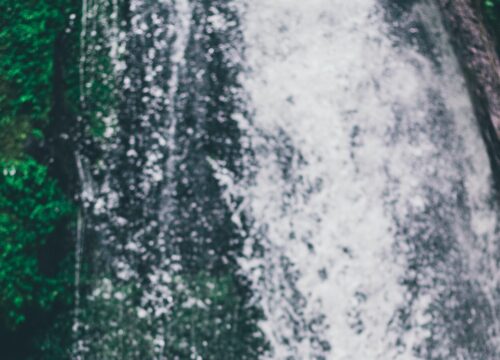 Can I spot unique flora during rock climbing in Mount Kenya?