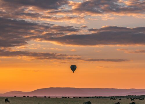 What are the best bird-watching spots in Mount Kenya?