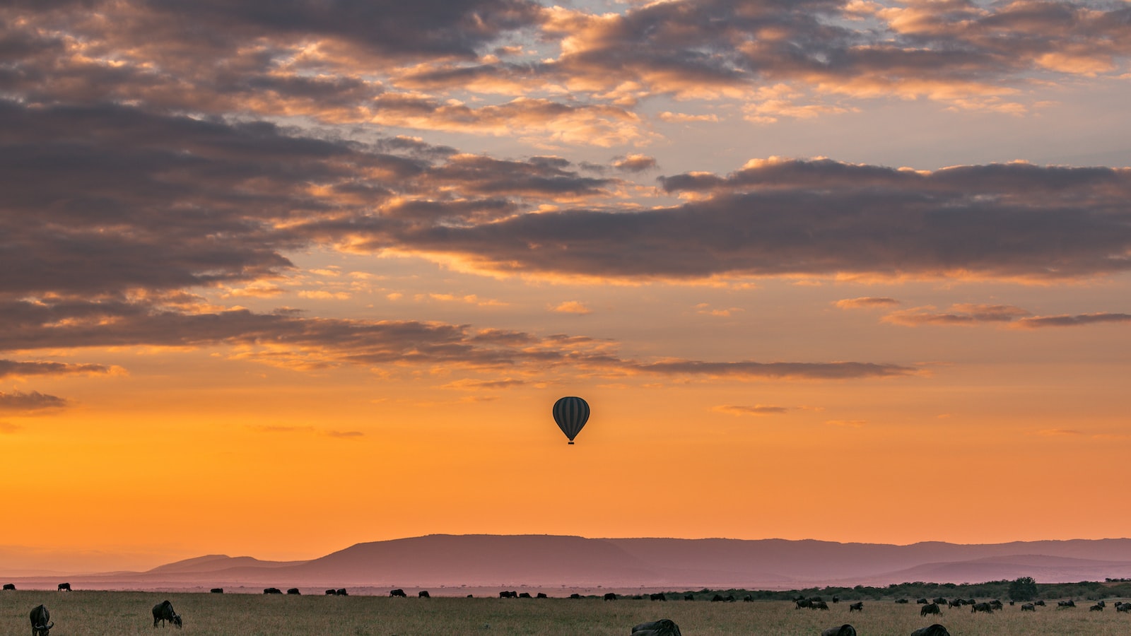 What are the best bird-watching spots in Mount Kenya?