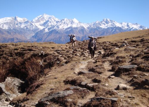 Is it possible to do plateau treks in Mount Kenya?